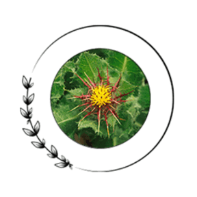 Alpha Xtra Boost Ingredients Blessed Thistle