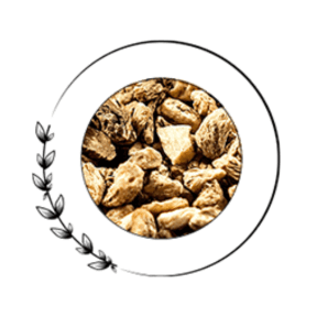 Goliath XL 10 Ingredients Dong Quai