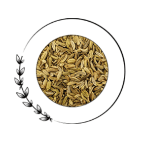 Alpha Xtra Boost Ingredients Fennel Seeds