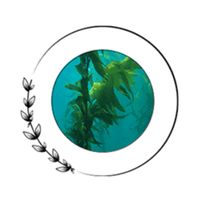 Alpha Xtra Boost Ingredients Pacific Kelp